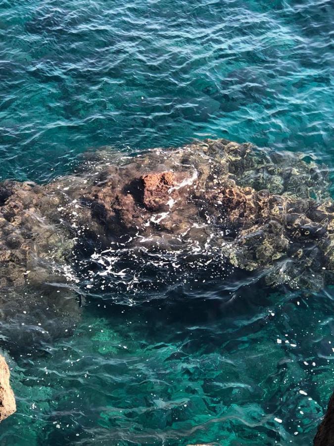 Le tre meraviglie a 200 m dal mare Aeroporto di Catania Fontana Rossa Esterno foto